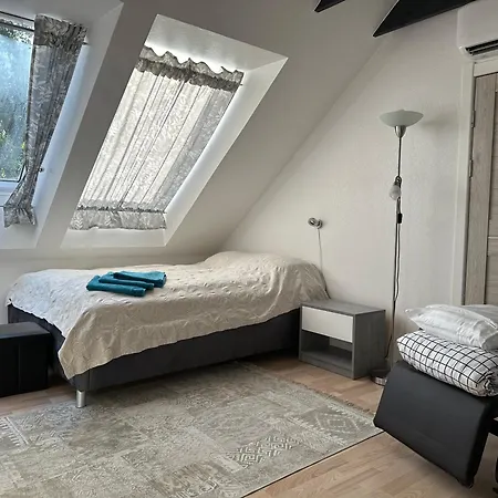 Vila Smiltynes Pusele Kursiu Nerijoje Villa